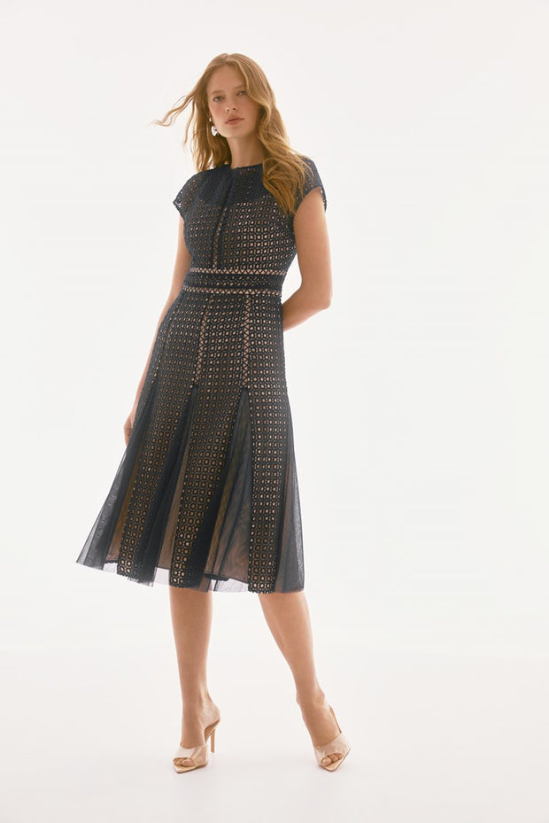 Guipure And Mesh Fit And Flare Dress