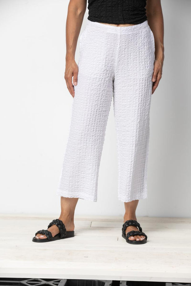 Flat Front Crinkle Pant
